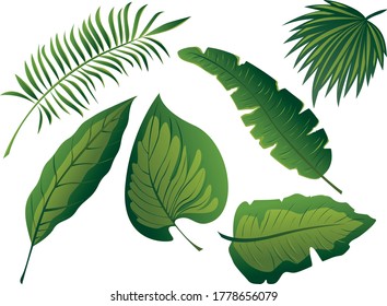Vektor-Tropischer Dschungelbaum-Set