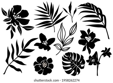 Vector tropic leaves and flower silhouette. Jungle plant, monstera leaf, palm frond, exotic floral. Abstract set with tropical elements isolated on white.