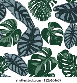 Vector Tropic Seamless Pattern. Philodendron and Alocasia Leaves. Hand Drawn Jungle Foliage in Watercolor Style. Exotic Background. Seamless Tropic Leaf for Textile, Cloth, Fabric, Decoration, Paper.