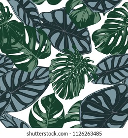 Vector Tropic Seamless Pattern. Philodendron and Alocasia Leaves. Hand Drawn Jungle Foliage in Watercolor Style. Exotic Background. Seamless Tropic Leaf for Textile, Cloth, Fabric, Decoration, Paper.