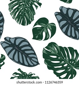 Vector Tropic Seamless Pattern. Philodendron and Alocasia Leaves. Hand Drawn Jungle Foliage in Watercolor Style. Exotic Background. Seamless Tropic Leaf for Textile, Cloth, Fabric, Decoration, Paper.