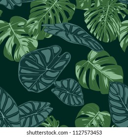 Vector Tropic Seamless Pattern. Philodendron and Alocasia Leaves. Hand Drawn Jungle Foliage in Watercolor Style. Exotic Background. Seamless Tropic Leaf for Textile, Cloth, Fabric, Decoration, Paper.