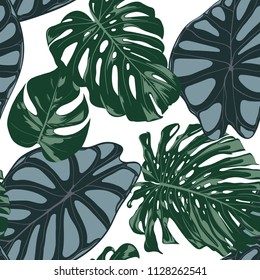 Vector Tropic Seamless Pattern. Philodendron and Alocasia Leaves. Hand Drawn Jungle Foliage in Watercolor Style. Exotic Background. Seamless Tropic Leaf for Textile, Cloth, Fabric, Decoration, Paper.