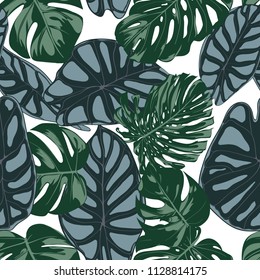 Vector Tropic Seamless Pattern. Philodendron and Alocasia Leaves. Hand Drawn Jungle Foliage in Watercolor Style. Exotic Background. Seamless Tropic Leaf for Textile, Cloth, Fabric, Decoration, Paper.