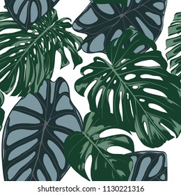 Vector Tropic Seamless Pattern. Philodendron and Alocasia Leaves. Hand Drawn Jungle Foliage in Watercolor Style. Exotic Background. Seamless Tropic Leaf for Textile, Cloth, Fabric, Decoration, Paper.