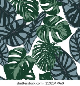 Vector Tropic Seamless Pattern. Philodendron and Alocasia Leaves. Hand Drawn Jungle Foliage in Watercolor Style. Exotic Background. Seamless Tropic Leaf for Textile, Cloth, Fabric, Decoration, Paper.