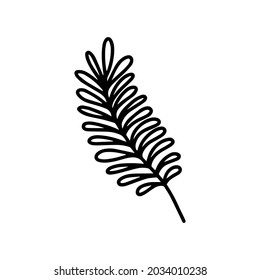 tropische Acacia-Blätter, einzeln auf weißem Hintergrund. Frische Farbgebung und süße Illustration für saisonales Design, Textilien, Dekoration Kinderspielzimmer oder Grußkarte. Handgezeichnete Drucke und Doodle.
