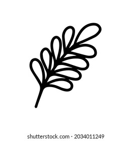 Vector tropical acacia leaf isolated on white background. Funny coloring and cute illustration for seasonal design, textile, decoration kids playroom or greeting card. Hand drawn prints and doodle.