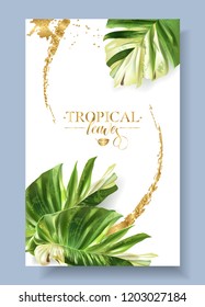 Vector tropical alocasia leaf banner on white background. Exotic botany for cosmetics, spa, perfume, health care products, aroma, turist agensy. Best as wedding invitation design. With place for text