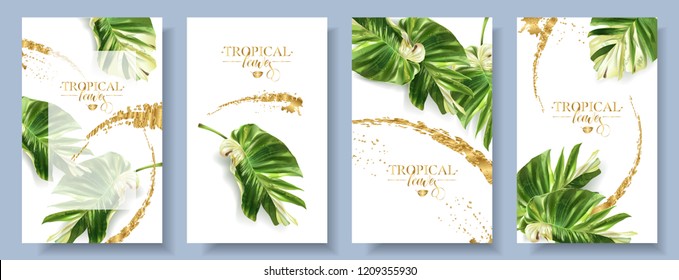 Vector tropical alocasia leaf banner on white background. Exotic botany for cosmetics, spa, perfume, health care products, aroma, turist agensy. Best as wedding invitation design. With place for text