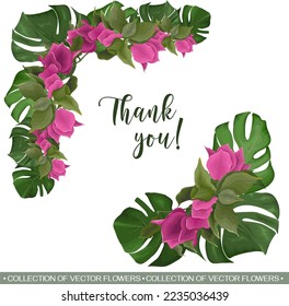 Vector tropical angle for floral design. Pink bougainvillea flower, monstera leaves and palm trees. Tropical floral set 