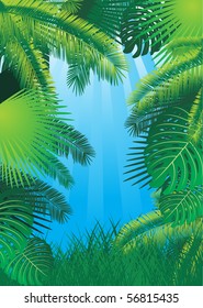 vector tropical background