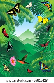 vector tropical background with butterflies and humming-bird