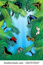 fondo tropical vectorial con mariposas de Sudamérica