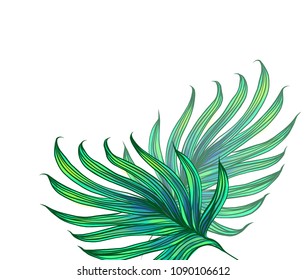 vector tropical background for design, floral elements, natural decoration. vacation, summer, jungle, plants

tropics, south, jungle, monstera, liana,
