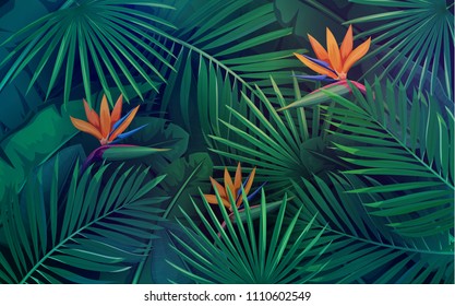 Vector tropical background with leaves and flowers. Jungle exotic strelitzia, banana leaf, philodendron and areca palm. Wallpaper screen summer tropical paradise.