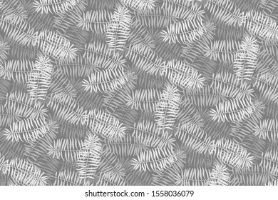 Vector tropical background from palm leaves
