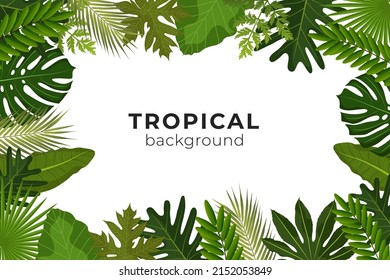 Vector Tropical backgroung with palm leaves, hawaii background, summer tropical