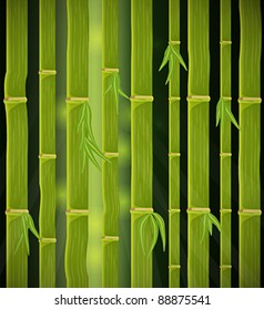 Vector, tropical bamboo forest