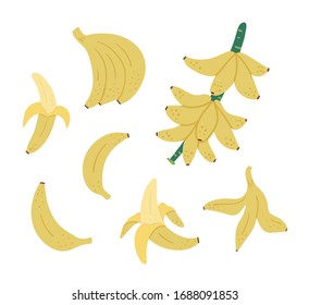 Vector tropical banana fruit, bunch and twig clip art. Jungle foliage illustration. Hand drawn flat exotic plant isolated on white background. Bright childish healthy summer food illustration