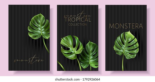 Vektortropischer Banner mit grünen Monsterblätter auf schwarzem Hintergrund. Luxury exotische botanische Design für Kosmetik, Hochzeitseinladung, Sommerbanner, Parfüm, Schönheit, Reisen, Verpackungsdesign