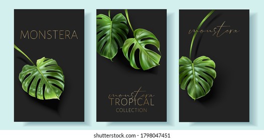 Vector tropical banner set with green monstera leaves on black background. Luxury exotic botanical design for cosmetics, wedding invitation, summer banner, perfume, beauty, travel, packaging design