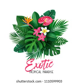 Vector tropical banner. Summer design for advertising vacation with exotic leaves and flowers. Image with strelitzia, plumeria, jungle leaf, areca palm, monstera, plumeria and anthurium.