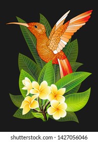 Vector tropical banner. Summer design for advertising with hummingbird, tropical leaves and flowers isolated on black. Image with plumeria flowers, jungle exotic palm leaf, orchid and exotic bird