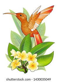 Vector tropical banner. Summer design for advertising with hummingbird, tropical leaves and flowers isolated on white. Image with plumeria flowers, jungle exotic palm leaf, orchid and exotic bird