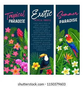 Vector tropical banners. Floral jungle summer background with birds parrot and toucan, exotic leaf monstera, areca palm, royal fern and plumeria. Strelitzia, hibiscus, orchid or ginger flower.