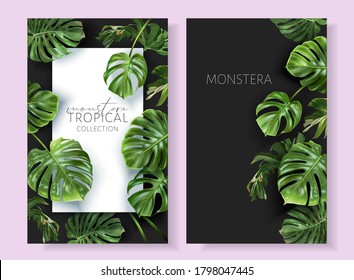 Vector tropical banners with green monstera leaves on black background. Luxury exotic botanical design for cosmetics, wedding invitation, summer banner, spa, perfume, beauty, travel, packaging design