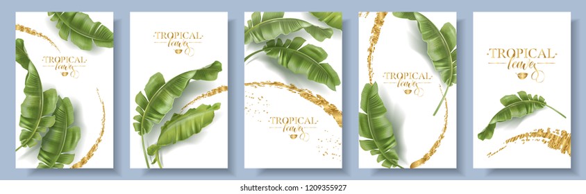 Vector tropical banners set. Banana leaf with gold splash on white background. Exotic botany for cosmetics, spa, perfume, health care products, aroma, tourist agency. Best as wedding invitation design