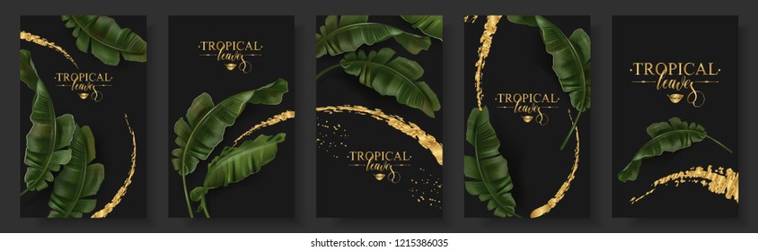Vector tropical banners set. Banana leaf with gold splash on black background. Exotic botany for cosmetics, spa, perfume, health care products, aroma, tourist agency, summer party invitation