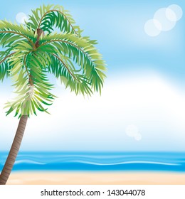 Vector. Tropical beach.