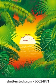 vector tropical beach