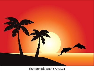 vector tropical beach with dolphins