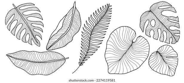 Vector tropical black and white illustration with palm leaves, fern, monstera leaves, banana leaves for coloring pages, backgrounds, covers, decor