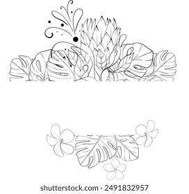 Vector tropical border - ramo de proteas, hojas de monstera y plumerias. Verano botánico. Plantilla, arreglos. Silueta del circuito negro