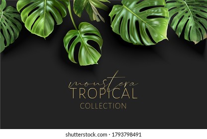 Vector tropical border with green monstera leaves on black background. Luxury exotic botanical design for cosmetics, wedding invitation, summer banner, spa, perfume, beauty, travel, packaging design