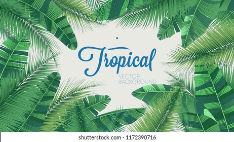 Vector tropical botanical plants, background with leaves of coconut and banana