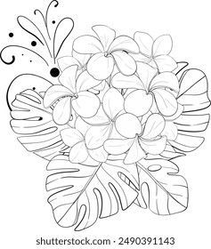 Vector tropical bouquet plumeria flowers with monstera leaves. Tropical exotic frangipani flower. Graphic drawn by hands. Black circuit silhouette. For wedding design, cards, printing