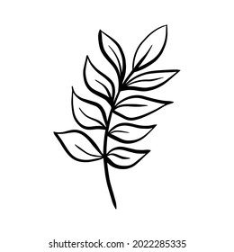 Vector tropical branch with leaves, ink element isolated on white background. Funny illustration for seasonal design, textile, decoration kids playroom or greeting card. Hand drawn prints and doodle.