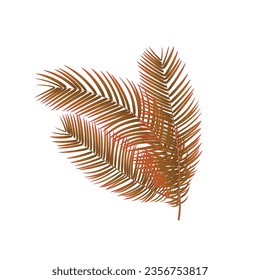 Vector tropical brown palm leaves isolated set.