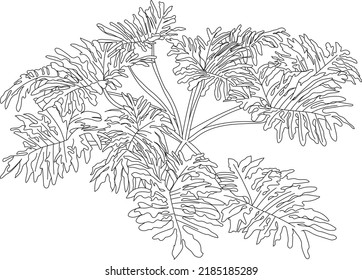 Vector tropical bush illustration. Digital rain forest plant. 