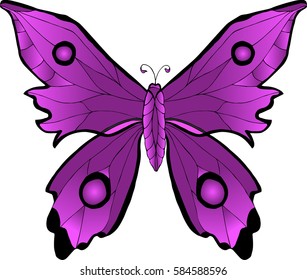 Vector tropical butterfly isolated on white background