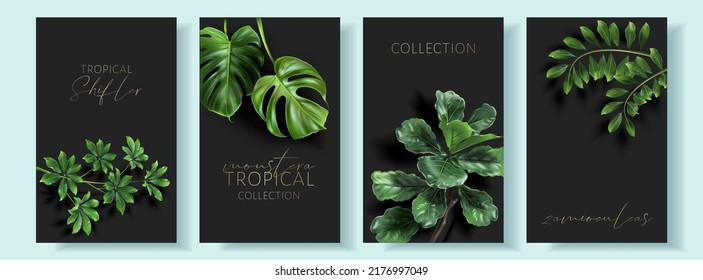 Vector tropical cards with green leaves on black background. Luxury exotic botanical design for cosmetics, wedding invitation, summer banner, spa, perfume, beauty, travel, packaging design