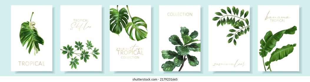 Tarjetas tropicales vectoriales con hojas verdes sobre fondo blanco. Diseño botánico exótico de lujo para cosméticos, invitación a la boda, banner de verano, spa, perfume, belleza, viajes, diseño de embalaje