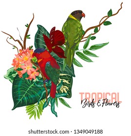 Vector tropical collection with exotic flowers, leaves and parrots. Isolated bouquet composition on the white background.