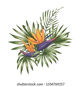 Vector tropical composition of strelitzia flowers, monstera and palm leaves isolated on white background. Bright realistic watercolor style exotic design elements