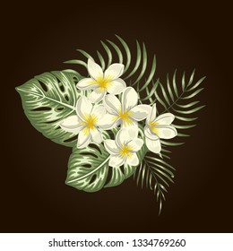 Vector tropical composition of white plumeria flowers, monstera and palm leaves isolated on white background. Bright realistic watercolor style exotic design elements